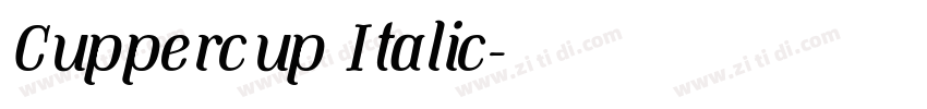 Cuppercup Italic字体转换